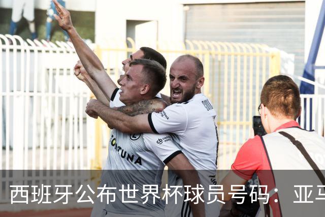 西班牙公布世界杯球员号码：亚马尔身披19号 奥尔莫10号